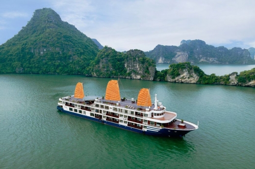 Collection Of The Sea Cruises