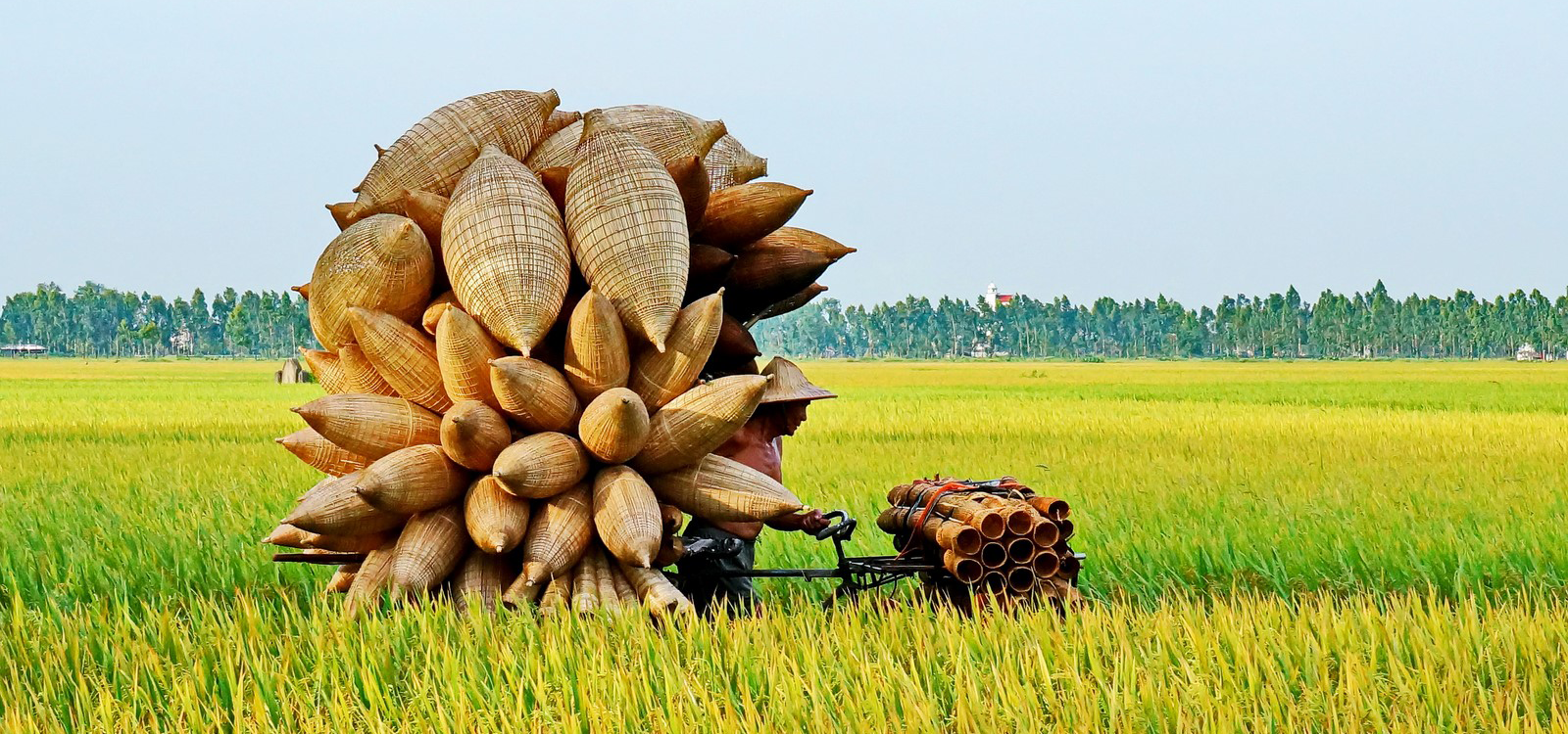 Vietnam Collection Tour<br>  “Where Every Destination Feels Like Home”